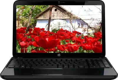 HP Pavilion G6-2229TU Laptop (3rd Gen Ci5/ 4GB/ 500GB/ DOS)