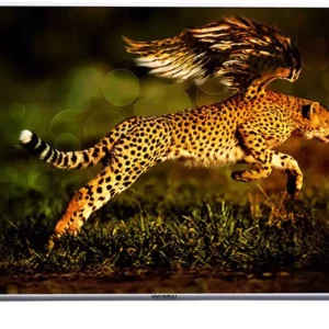 Hyundai HY6597QNK78VT 65-inch Ultra HD 4K Smart LED TV