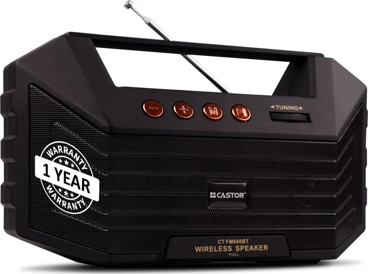 iBELL Castor FM660BT Bluetooth Speaker