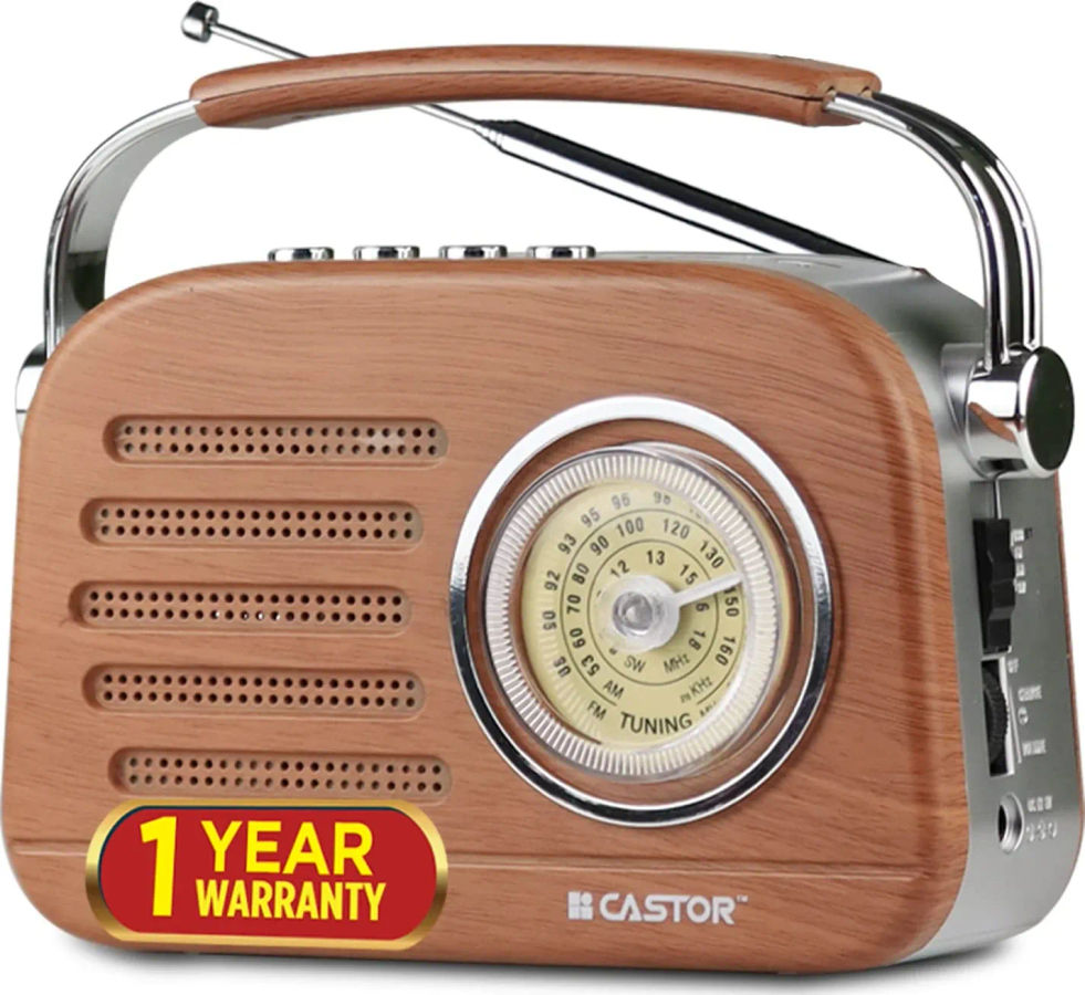 iBELL Castor FM820BT FM Radio with Bluetooth Speaker