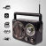 iBELL FM730BT Bluetooth Speaker