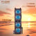 iNFiRe FT-25001 250W Bluetooth Speaker