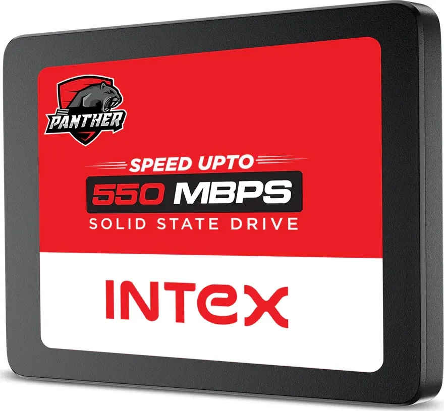 Intex Panther 256 GB Internal Solid State Drive