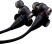 JVC HA-FW01 Wood Series Wired Earphones
