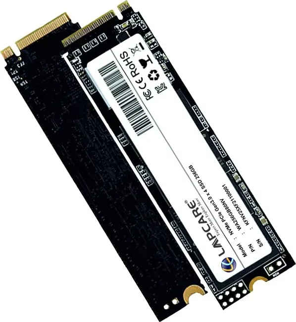 Lapcare Lapdisc 256GB PCIe Gen 3 Internal Solid State Drive