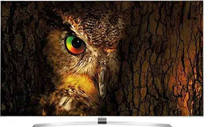 LG 49UH850T (49inches) 123cm UHD (4K) IPS LED Smart TV