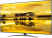 LG 55SM9000PTA 55-inch Ultra HD 4K Smart LED TV