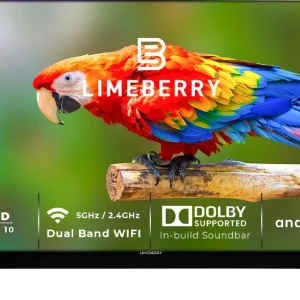 Limeberry 65MU11SSSB5GV 65 inch Ultra HD 4K Smart LED TV