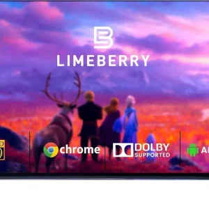 Limeberry LB431CN5 43 inch Full HD Smart LED TV