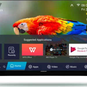 Limeberry LB55MU11BSNS5GV 55 inch Ultra HD 4K Smart LED TV