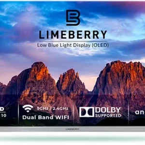 Limeberry LB65OU11SSPS5GV 65 inch Ultra HD 4K OLED TV