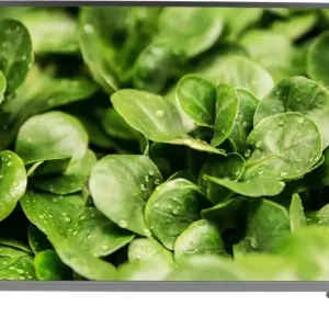 Micromax 40V1666FHD 40-inch Full HD LED TV