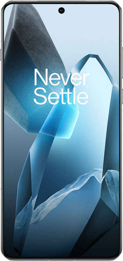 OnePlus 13-24 GB 1 TB