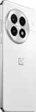 OnePlus 13-24 GB 1 TB