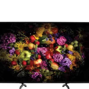 Panasonic TH-50FS600D (50-inch) Full HD LED Smart TV (Black)