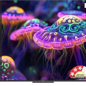 Philips Lumina Series 50 inch Ultra HD 4K Smart QLED TV (50PQT8100/94)