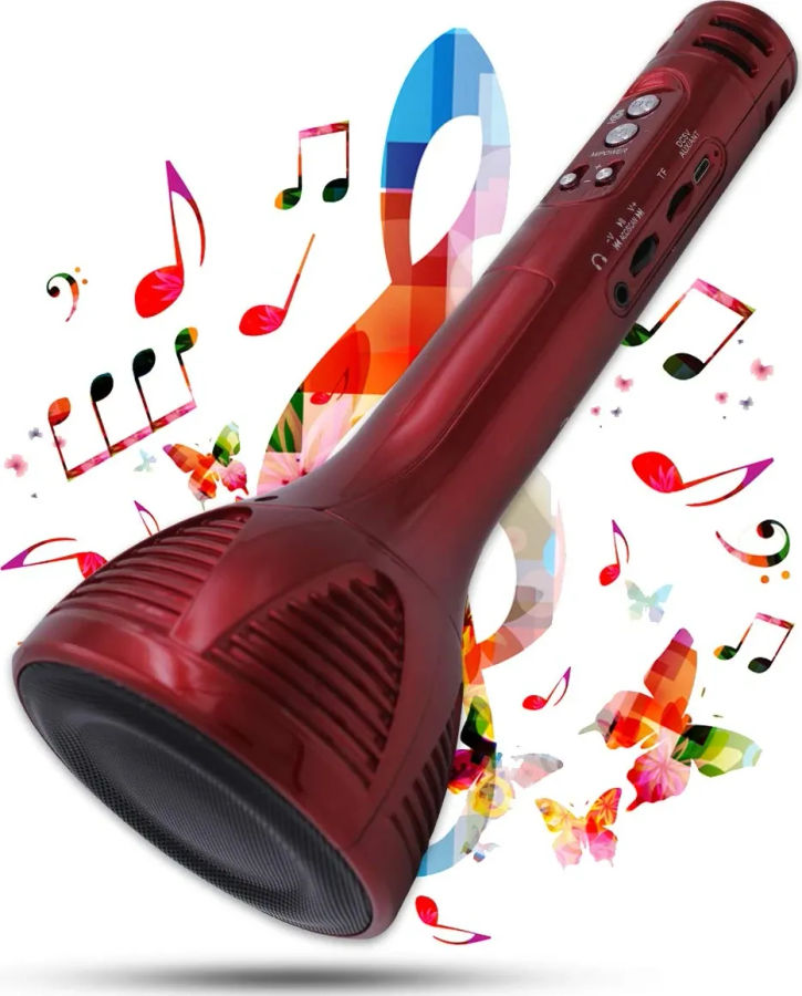 Pick Ur Needs PUN-698 Karaoke Mic Speaker