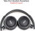 pTron Trips Wireless Headphones