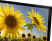 Samsung 32H4100 81.28cm (32) LED TV (HD Ready)