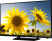 Samsung 40H4240 102cm (40) LED TV (HD Ready)