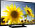 Samsung 40H4240 102cm (40) LED TV (HD Ready)