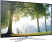 Samsung 65H6400 (65-inch) Full HD Smart LED TV