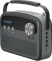 Saregama Carvaan Lite Hindi 10W Bluetooth Speaker