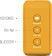Saregama Carvaan Mini Gurbani 5W Portable Speaker