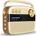 Saregama Carvaan Premium 10W Bluetooth Speaker (Sound by HARMAN/KARDON)