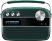 Saregama Carvaan Premium Pop SC230 6W Portable Speaker