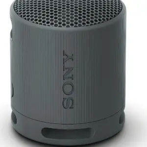 Sony SRS-XB100 Portable Bluetooth Speaker