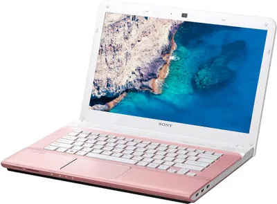 Sony VAIO E14133 Laptop (3rd Gen Ci3/ 2GB/ 500GB/ Win8)