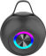 Swiss Military Ancha Wazowski 10W Bluetooth Speaker