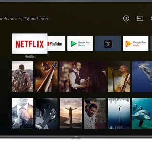 TCL 43P8E 43-inch Ultra HD 4K Smart LED TV