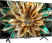 TCL C69B 43 inch Ultra HD Smart QLED TV (43C69B)