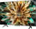 TCL C69B 43 inch Ultra HD Smart QLED TV (43C69B)