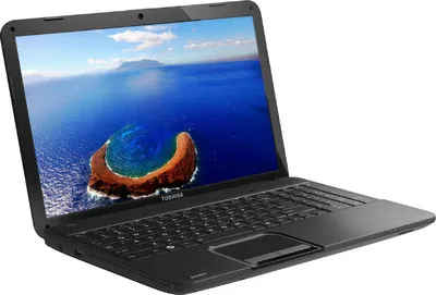 Toshiba C850D-M0010 Laptop (APU Dual Core/ 2GB/ 320GB/ No OS)