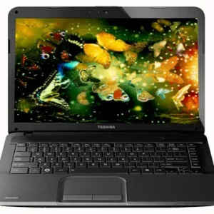 Toshiba Satellite C840-I4011 Laptop (2nd Gen Ci3/ 2GB/ 500GB/ No OS)