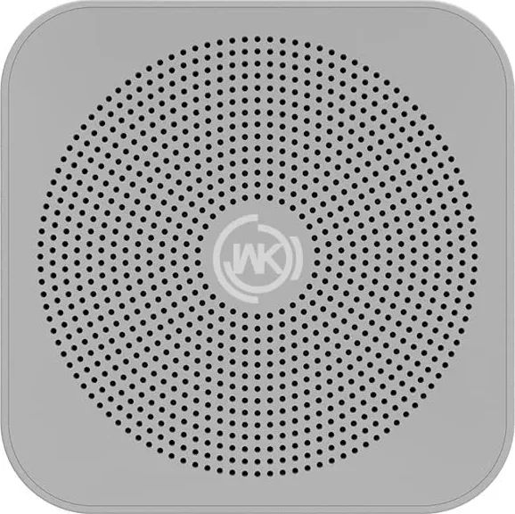 Wk Life SP100 Bluetooth Speaker