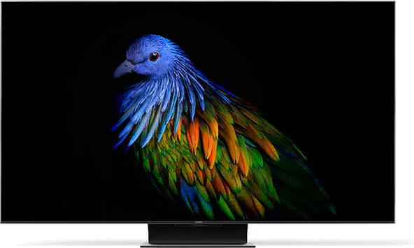 Xiaomi Mi TV 6 55-inch Ultra HD 4K Smart OLED TV