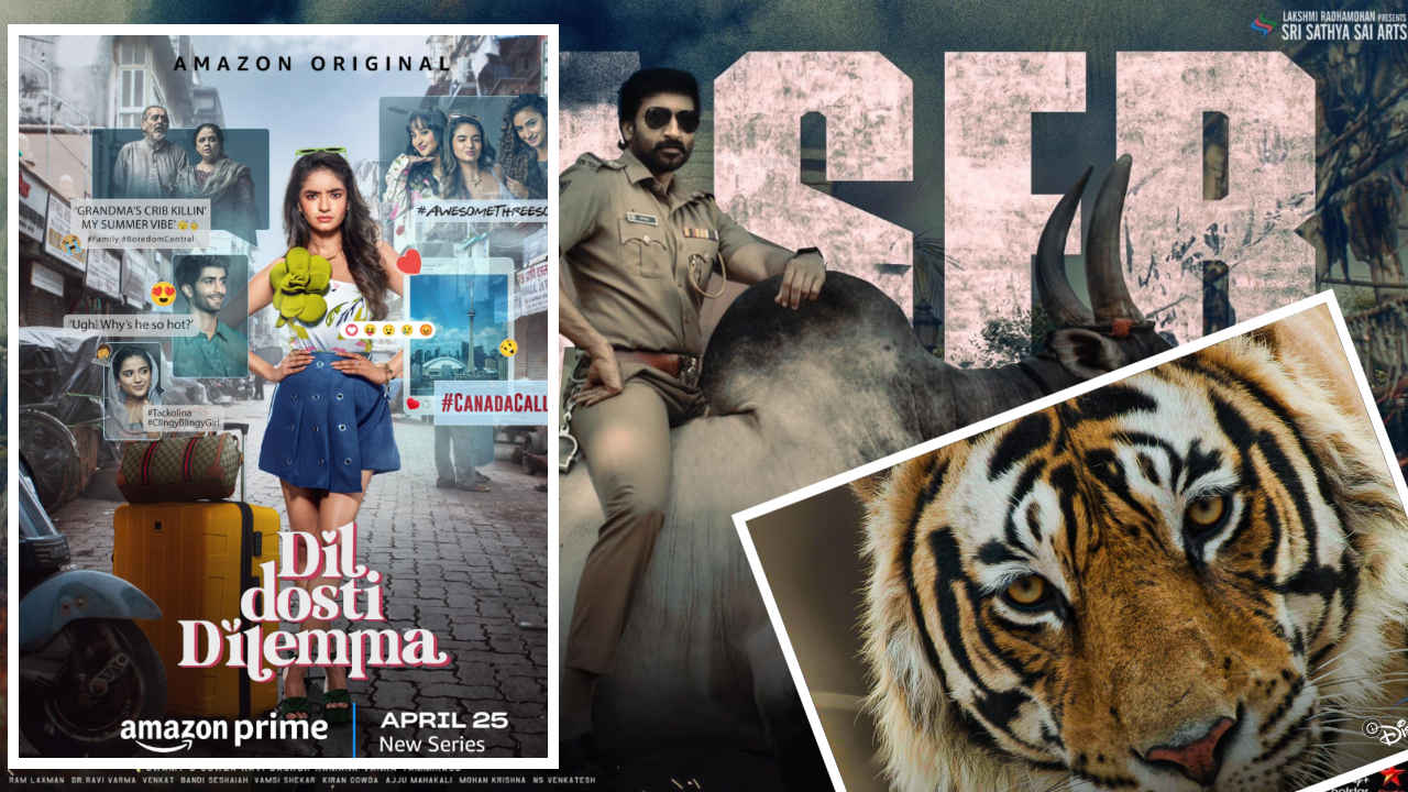 OTT Releases this week: Tiger से लेकर Bhimaa और Dil Dosti Dilemma तक Netflix, Prime Video और अन्य पर इस हफ्ते आ रहीं ये 20+ फिल्में और OTT Series