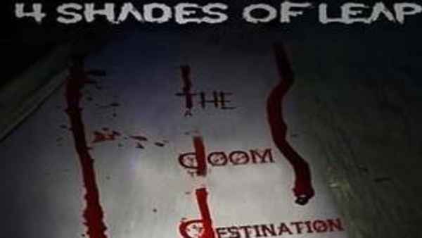 4 Shades Of Leap Poster 3