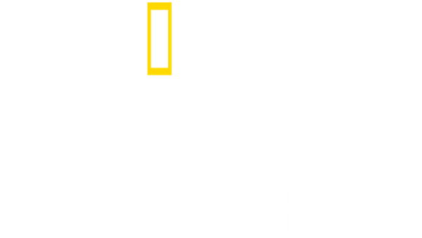 Air Force One - America's Flagship Poster 6