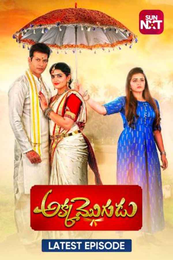 Akka Mogudu Poster 5