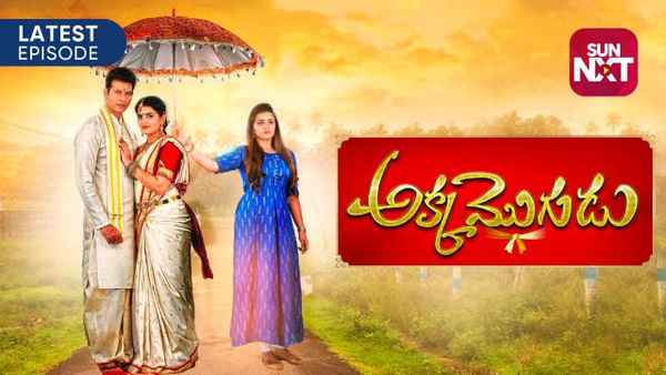 Akka Mogudu Poster 7