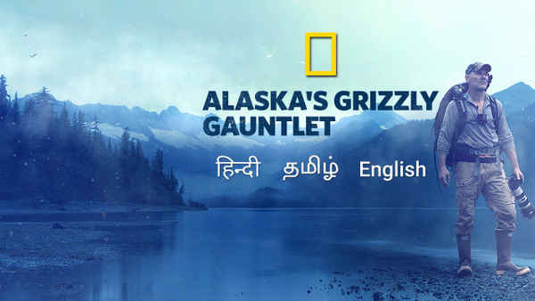 Alaska's Grizzly Gauntlet Poster 7