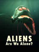Aliens: Are We Alone? Poster 4