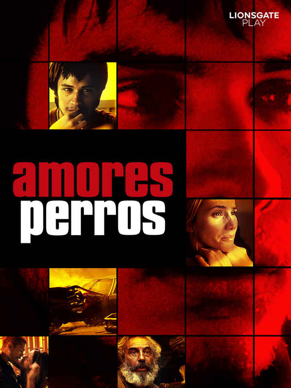 Amores Perros Poster 2