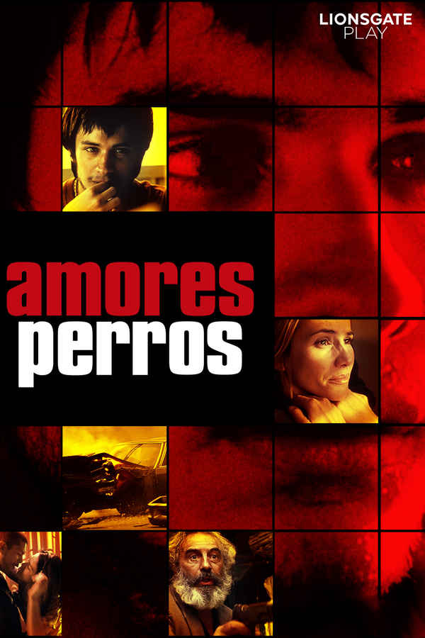 Amores Perros Poster 3