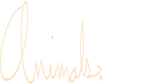 Animals. Poster 7